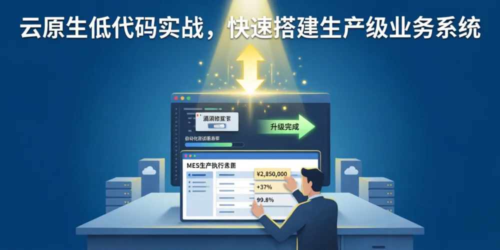 云原生低代码实战，快速搭建生产级业务系统